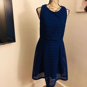 Royal Blue Midi Dress